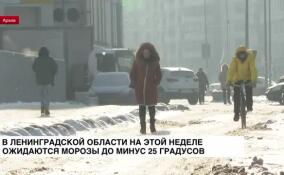 В Ленинградской области на этой неделе ожидаются морозы до -25 градусов