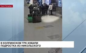 В колпинском ТРК избили подростка из Никольского