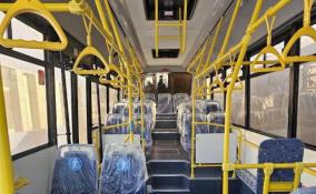 До 2025 года на дороги Ленобласти выйдут 450 новых автобусов