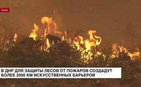 В ДНР для защиты лесов от пожаров создадут более 2 000 км искусственных барьеров
