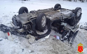 Пассажир иномарки скончался в ДТП на автодороге Парголово-Огоньки