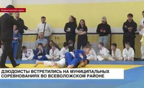 Дзюдоисты встретились на муниципальных соревнованиях во Всеволожском районе
