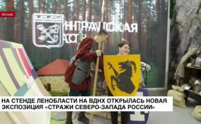 На стенде Ленобласти на ВДНХ открылась экспозиция «Стражи Северо-Запада России»