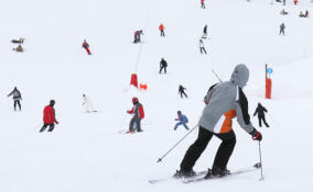 На "Игоре Драйв" состоится крупнейшая лыжная гонка "Лыжня России-2024"