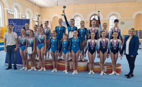 Команда из Ленобласти завоевала призовые места на первенстве и чемпионате СЗФО по спортивной гимнастике