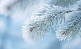 Небольшой снег и до -10 градусов пообещали жителям Ленобласти 12 февраля
