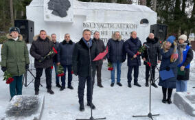 Луга празднует 80-летие освобождения от фашистских захватчиков