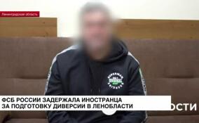 ФСБ России задержала иностранца за подготовку диверсии в Ленобласти