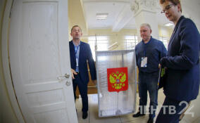 Более 5 тыс. наблюдателей привлекут к работе на президентских выборах в Ленобласти