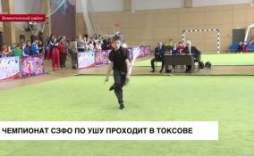 Чемпионат СЗФО по ушу проходит в Токсово