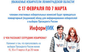 В Ленобласти избирателей начнут адресно информировать о предстоящих выборах президента