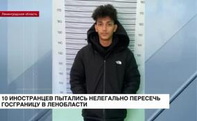 10 иностранцев пытались нелегально пересечь госграницу в Ленобласти