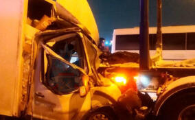 Водитель пострадал при столкновении двух грузовиков на Московском шоссе