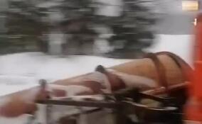 Дорожники Ленобласти борются со обильными снегопадами