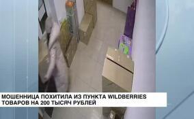 Мошенница похитила из пункта Wildberries в Петербурге товаров на 200 тысяч рублей