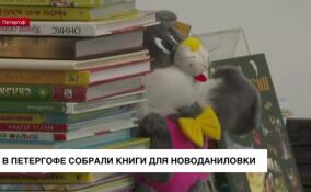 В Петергофе собрали книги для Новоданиловки