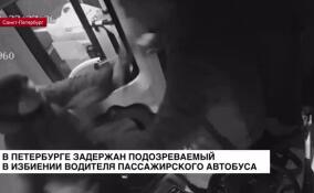 В Петербурге задержан подозреваемый в избиении водителя пассажирского автобуса