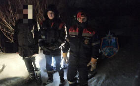 Во Всеволожском районе спасатели пришли на помощь любителю зимних прогулок в лесу