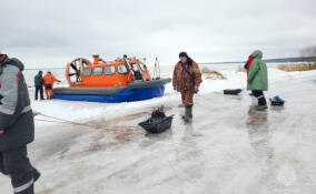 Порыбачили: пятеро мужчин оказались на оторвавшейся льдине посреди Финского залива