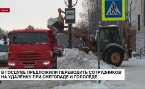 В Госдуме предложили переводить сотрудников на удаленку при снегопаде и гололеде