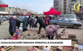 В Енакиево прошла сельскохозяйственная ярмарка с участием товаропроизводителей из всех регионов России