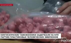 Кингисеппские таможенники задержали на КПП партию пластиковых человеческих эмбрионов