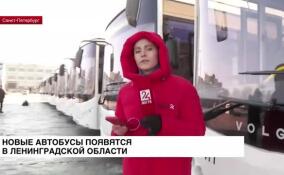 В Ленинградской области появятся новые автобусы