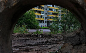 Подвал дома в Светогорске затопило канализационными стоками