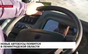 В Ленинградской области появятся новые автобусы