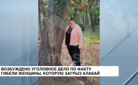Возбуждено уголовное дело по факту гибели женщины, которую загрыз алабай
