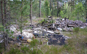 Лес во Всеволожском районе очистят от гор мусора после вмешательства прокуратуры