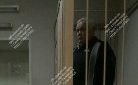 Депутата ЗакСа Ленобласти отправили под стражу за незаконную рубку леса