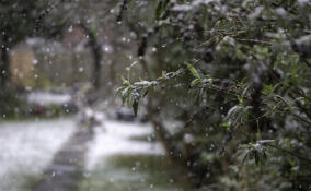 Тепло и мокрый снег: о погоде в Ленобласти 22 февраля