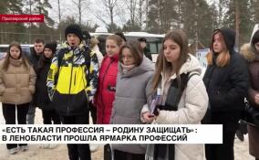 «Есть такая профессия — Родину защищать»: в Ленобласти прошла ярмарка профессий