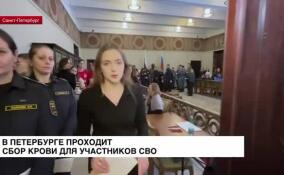 Сбор крови для военнослужащих и участников СВО проходит в Петербурге