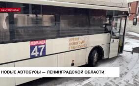 В Ленинградской области обновляется автобусный парк