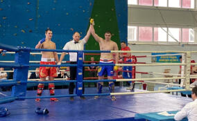 Сосновоборец одержал победу в чемпионате и первенстве СЗФО по кикбоксингу