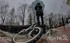 Мокрый снег и гололёд: о погоде в Ленинградской области на грядущий понедельник