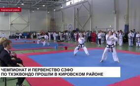 В Кировском районе прошел чемпионат и первенство СЗФО по тхэквондо
