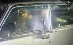 В Киришах росгвардейцы спасли ВАЗ, припаркованный под вспыхнувшим фонарем