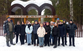 Гимназисты из Кировска прогулялись по экотропе в Линдуловской роще