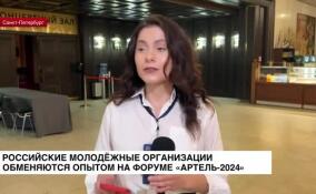 Российские молодежные организации обменяются опытом на форуме «Артель-2024»