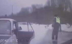 В Волосовском районе 16-летний лихач устроил ДТП с полицейским авто