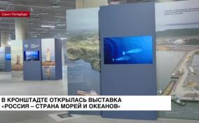 В Кронштадте открылась выставка «Россия — страна морей и океанов»