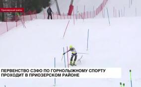 Первенство СЗФО по горнолыжному спорту проходит в Приозерском районе