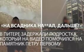 Помочился на «Медного всадника»: петербургская полиция задержала подростка-вандала