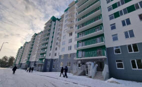 Семьи Лужского района получили ключи от квартир в новом доме на Медведском шоссе