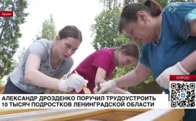 Александр Дрозденко поручил трудоустроить 10 тысяч подростков Ленинградской области