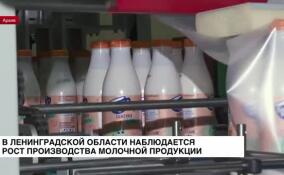 В Ленинградской области наблюдается рост производства молочной продукции