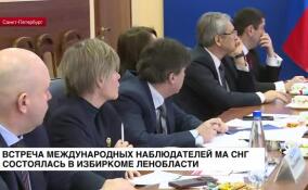 Встреча международных наблюдателей МПА СНГ состоялась в Избирательной комиссии Ленобласти